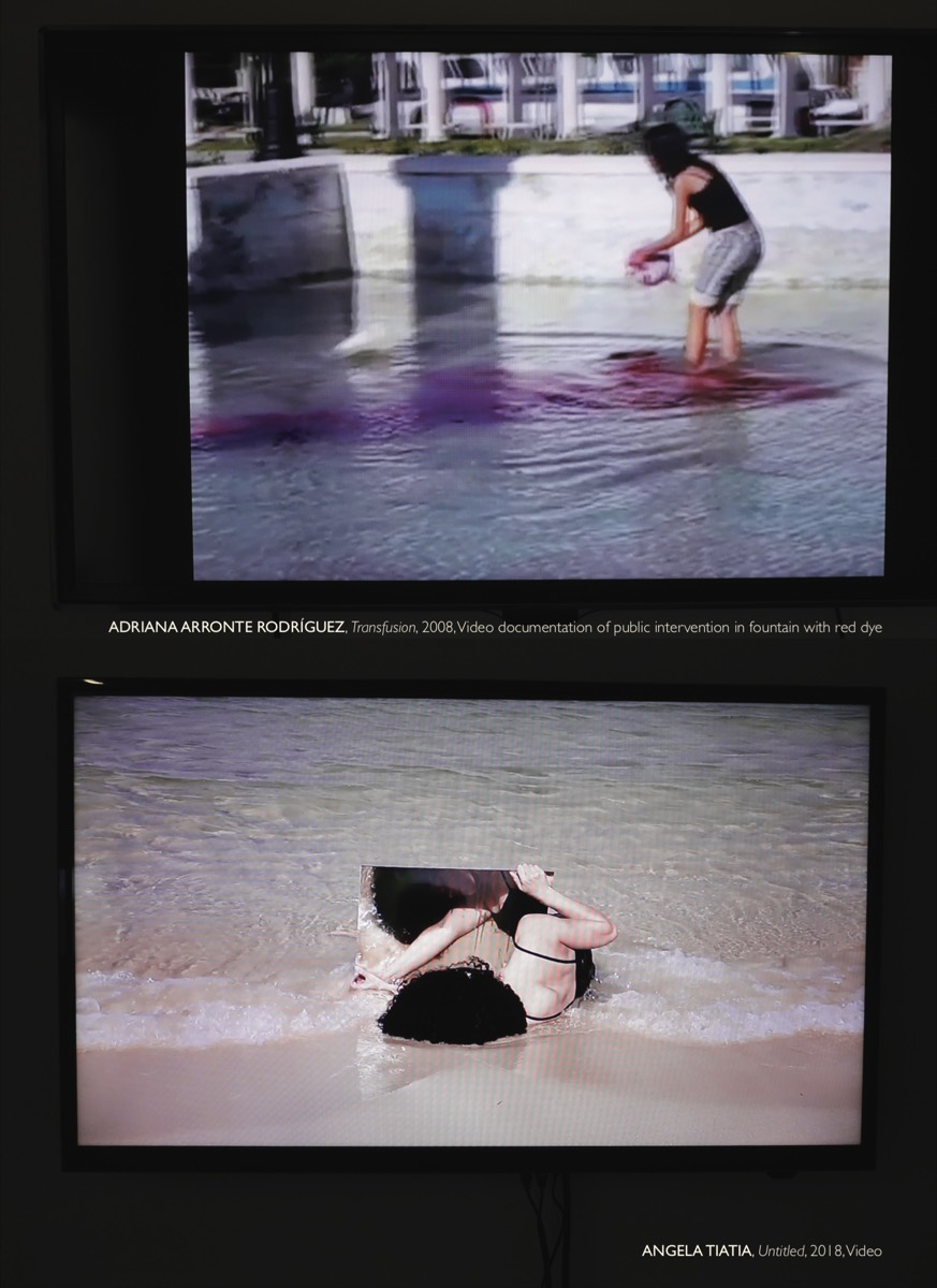 Adriana Arronte Rodríguez, Transfusion, 2008; Angela Tiatia, Untitled, 2018
